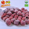 Frozen pitted hawthorn berry, Frozen Berry Fruits